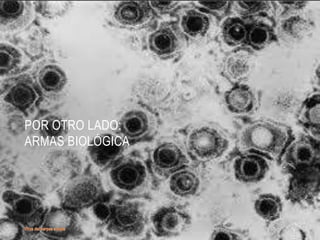 POR OTRO LADO:
ARMAS BIOLÓGICA

10

 