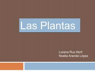 Las Plantas
Lorena Ruz Abril
Noelia Aranda López

 