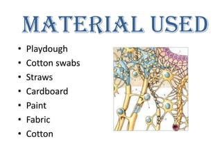 Tissues | PPTX