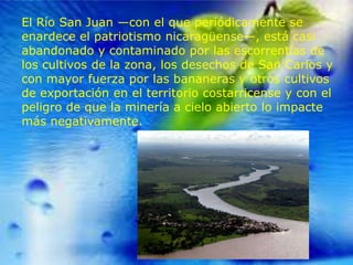El Río San Juan —con el que periódicamente se
enardece el patriotismo nicaragüense—, está casi
abandonado y contaminado por las escorrentías de
los cultivos de la zona, los desechos de San Carlos y
con mayor fuerza por las bananeras y otros cultivos
de exportación en el territorio costarricense y con el
peligro de que la minería a cielo abierto lo impacte
más negativamente.

 