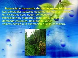 Potencial y demanda de los recursos hídricos
Los principales sectores usuarios del recurso hídrico
en Nicaragua son: riego, doméstico,
Hidroeléctrico, industrial, ganadería, turismo y
demanda ecológica. Resultando varios
valores debido a la estimación que se considera.

 