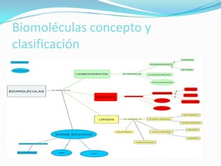Biomoléculas concepto y
clasificación

 