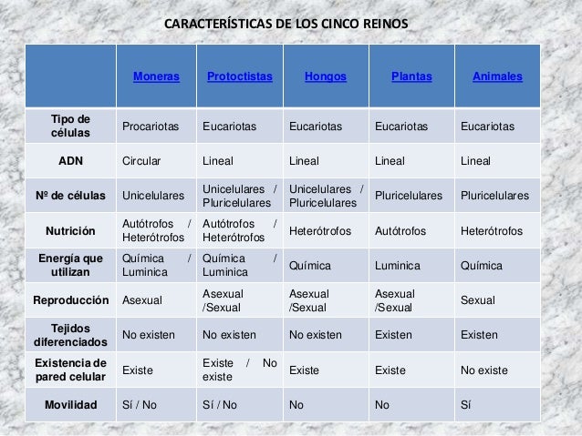 Resultado de imagen de tabla caracteristicas reinos seres vivos