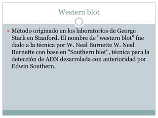 Western blot
 Método originado en los laboratorios de George

Stark en Stanford. El nombre de "western blot" fue
dado a la técnica por W. Neal Burnette W. Neal
Burnette con base en "Southern blot", técnica para la
detección de ADN desarrolada con anterioridad por
Edwin Southern.

 