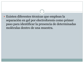  Existen diferentes técnicas que emplean la

separación en gel por electroforesis como primer
paso para identificar la presencia de determinadas
moléculas dentro de una muestra.

 