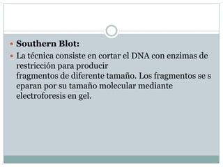  Southern Blot:
 La técnica consiste en cortar el DNA con enzimas de

restricción para producir
fragmentos de diferente tamaño. Los fragmentos se s
eparan por su tamaño molecular mediante
electroforesis en gel.

 