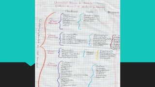 clasificacion de los reinos