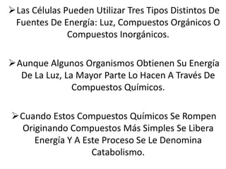 Las Células Pueden Utilizar Tres Tipos Distintos De
Fuentes De Energía: Luz, Compuestos Orgánicos O
Compuestos Inorgánicos.
Aunque Algunos Organismos Obtienen Su Energía
De La Luz, La Mayor Parte Lo Hacen A Través De
Compuestos Químicos.

Cuando Estos Compuestos Químicos Se Rompen
Originando Compuestos Más Simples Se Libera
Energía Y A Este Proceso Se Le Denomina
Catabolismo.

 