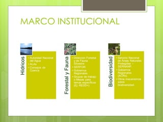 MARCO INSTITUCIONAL

 