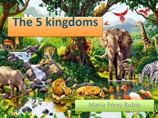 The 5 kingdoms

María Pérez Rubio

 
