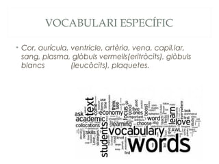 VOCABULARI ESPECÍFIC
• Cor, aurícula, ventricle, artèria, vena, capil.lar,
sang, plasma, glòbuls vermells(eritròcits), glòbuls
blancs
(leucòcits), plaquetes.

 