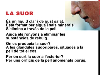 LA SUOR
És un líquid clar i de gust salat.
Està format per aigua i sals minerals.
S'elimina a través de la pell.
Ajuda els ronyons a eliminar les
substàncies de rebuig.
On es produeix la suor?
A les glàndules sudorípares, situades a la
pell de tot el cos.
Per on surt la suor a l'exterior?
Per uns orificis de la pell anomenats porus.

 