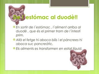 De l´estómac al duodè!!
 En

sortir de l´estómac , l´aliment arriba al
duodè , que és el primer tram de l´intestí
prim.
 Allà el fetge hi aboca bilis i el pàncrees hi
aboca suc pancreàtic.
 Els aliments es transformen en estat líquid.

 