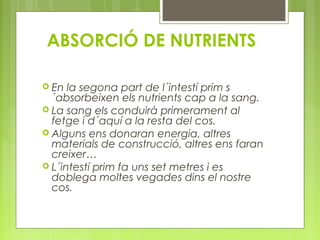 ABSORCIÓ DE NUTRIENTS
 En

la segona part de l´intestí prim s
´absorbeixen els nutrients cap a la sang.
 La sang els conduirà primerament al
fetge i d´aquí a la resta del cos.
 Alguns ens donaran energia, altres
materials de construcció, altres ens faran
creixer…
 L´intestí prim fa uns set metres i es
doblega moltes vegades dins el nostre
cos.

 