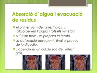 Absorció d´aigua i evacuació
de residus
 Al

primer tram de l´intestí gros , s
´absorbeixen l´aigua i tots els minerals.
 A l´últim tram , es prepara la femta.
 La defacació posa punt i final al procés
de la digestió.
 L´apèndix és un cul de sac de l´intestí
gros.

 