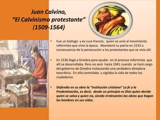 Juan Calvino,
“El Calvinismo protestante”
(1509-1564)
•

Fue un teólogo y ex cura francés, quien se unió al movimiento
reformista que vivía la época. Abandonó su patria en 1533 a
consecuencia de la persecución a los protestantes que se vivía allí.

•

En 1536 llegó a Ginebra para ayudar en el proceso reformista que
allí se desarrollaba. Pero no será hasta 1941 cuando se hará cargo
del gobierno de Ginebra instaurando una verdadera dictadura
teocrática. En ella controlaba y vigilaba la vida de todos los
ciudadanos.

•

Defendía en su obra la “Institución cristiana” La fe y la
Predestinación, es decir, desde un principio es Dios quien decide
quien se salva y quien no, siendo irrelevantes las obras que hagan
los hombres en sus vidas.

 