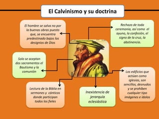 El Calvinismo y su doctrina
Rechazo de toda
ceremonia, así como el
ayuno, la confesión, el
signo de la cruz, la
abstinencia.

El hombre se salva no por
la buenas obras puesto
que, se encuentra
predestinado bajos los
designios de Dios

Solo se aceptan
dos sacramentos el
Bautismo y la
comunión

Lectura de la Biblia en
sermones y cánticos
donde participan
todos los fieles

Inexistencia de
jerarquía
eclesiástica

Los edificios que
actúan como
iglesias, son
sencillos, desnudos
y se prohíben
cualquier tipo
imágenes e ídolos

 