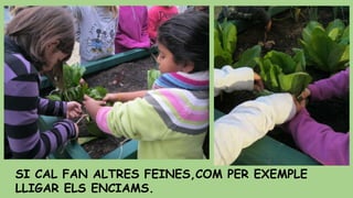 SI CAL FAN ALTRES FEINES,COM PER EXEMPLE
LLIGAR ELS ENCIAMS.

 