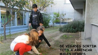 DE VEGADES SORTIM
TOTS A ARRENCAR

 