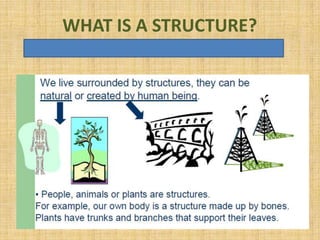 WHAT IS A STRUCTURE?

 