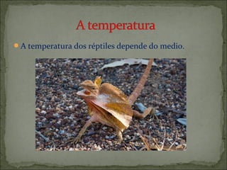 A temperatura dos réptiles depende do medio.

 