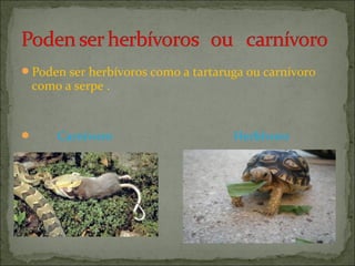 Poden ser herbívoros como a tartaruga ou carnívoro

como a serpe .



Carnívoro

Herbívoro

 
