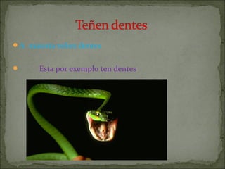 A maioría teñen dentes


Esta por exemplo ten dentes

 