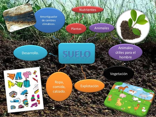 Mapa mental de suelo