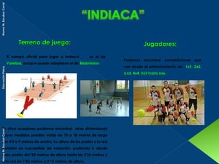 Alonso M. Escobar Corral

Terreno de juego:
El campo oficial para jugar a Indiaca

Jugadores:
es el de

Educación Física.

Voleibol, aunque puede adaptarse el de Bádminton.

Alonso M. Escobar Corral

En otras ocasiones podemos encontrar otras dimensiones
cuyas medidas pueden variar de 10 a 18 metros de largo
por 4'5 a 9 metros de ancho. La altura de los postes y la red
también es susceptible de variación, pudiendo ir desde
unos postes de1'85 metros de altura hasta los 2'35 metros y
una red de 1'83 metros a 2'15 metros de altura.

Podemos encontrar competiciones que
van desde el enfrentamiento de 1x1, 2x2,
3,x3, 4x4, 5x5 hasta 6x6.

 