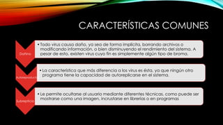 CARACTERÍSTICAS COMUNES
Dañino

• Todo virus causa daño, ya sea de forma implícita, borrando archivos o
modificando información, o bien disminuyendo el rendimiento del sistema. A
pesar de esto, existen virus cuyo fin es simplemente algún tipo de broma.

• La característica que más diferencia a los virus es ésta, ya que ningún otro
programa tiene la capacidad de autoreplicarse en el sistema.
Autoreproductor

Subrepticio

• Le permite ocultarse al usuario mediante diferentes técnicas, como puede ser
mostrarse como una imagen, incrustarse en librerías o en programas

 