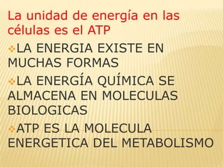 La unidad de energía en las
células es el ATP
LA ENERGIA EXISTE EN
MUCHAS FORMAS
LA ENERGÍA QUÍMICA SE
ALMACENA EN MOLECULAS
BIOLOGICAS
ATP ES LA MOLECULA
ENERGETICA DEL METABOLISMO

 