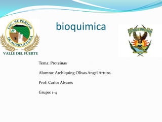 bioquimica

Tema: Proteinas
Alumno: Archiquing Olivas Angel Arturo.
Prof: Carlos Alvares
Grupo: 1-4

 