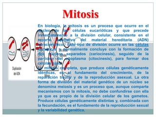 Mitosis
En biología, la mitosis es un proceso que ocurre en el
núcleo de las células eucarióticas y que precede
inmediatamente a la división celular, consistente en el
reparto equitativo del material hereditario (ADN)
característico.1 Este tipo de división ocurre en las células
somáticas y normalmente concluye con la formación de
dos núcleos separados (cariocinesis), seguido de la
partición del citoplasma (citocinesis), para formar dos
células hijas.
La mitosis completa, que produce células genéticamente
idénticas, es el fundamento del crecimiento, de la
reparación tisular y de la reproducción asexual. La otra
forma de división del material genético de un núcleo se
denomina meiosis y es un proceso que, aunque comparte
mecanismos con la mitosis, no debe confundirse con ella
ya que es propio de la división celular de los gametos.
Produce células genéticamente distintas y, combinada con
la fecundación, es el fundamento de la reproducción sexual
y la variabilidad genética.

 