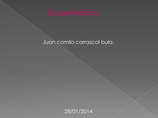Zoosemiótica

Juan camilo carrascal bula.

28/01/2014

 