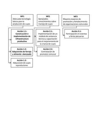 MF1
Adecuada tecnología
básica para la
producción de cuyes

MF2
Apropiados
conocimientos sobre
manejo de cuyes

Acción 1.1:
Construcción e
implementación de
infraestructura
productiva

Acción 2.1:
Implementación de un
módulo de asistencia
técnica y capacitación
para el mejoramiento de
la crianza de cuyes

Acción 1.2:
Adquisición de forraje
y alimento alanceado

Acción 2.2:
Contratación de
promotor comunal

Acción 1.3:
Adquisición de cuyes
reproductores

MF3
Mayores espacios de
promoción y fortalecimiento
de organizaciones comunales
Acción 3.1:
Participación en eventos
y ferias pecuarias

 