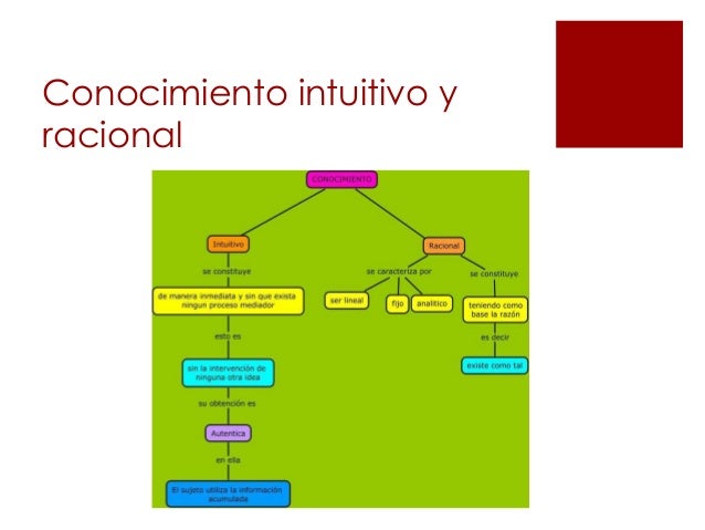 Intuicion