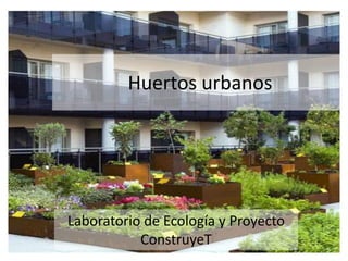 Huertos urbanos

Laboratorio de Ecología y Proyecto
ConstruyeT

 