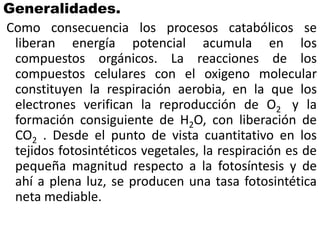 Generalidades.
Como consecuencia los procesos catabólicos se
liberan energía potencial acumula en los
compuestos orgánicos. La reacciones de los
compuestos celulares con el oxigeno molecular
constituyen la respiración aerobia, en la que los
electrones verifican la reproducción de O2 y la
formación consiguiente de H2O, con liberación de
CO2 . Desde el punto de vista cuantitativo en los
tejidos fotosintéticos vegetales, la respiración es de
pequeña magnitud respecto a la fotosíntesis y de
ahí a plena luz, se producen una tasa fotosintética
neta mediable.

 