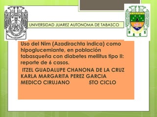 UNIVERSIDAD JUAREZ AUTONOMA DE TABASCO

Uso del Nim (Azadirachta indica) como
hipoglucemiante, en población
tabasqueña con diabetes mellitus tipo II:
reporte de 6 casos.
ITZEL GUADALUPE CHANONA DE LA CRUZ
KARLA MARGARITA PEREZ GARCIA
MEDICO CIRUJANO
5TO CICLO

 