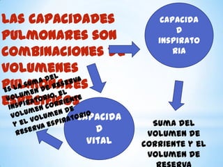 Las capacidades
pulmonares son
combinaciones de
volumenes
pulmonares
especificos
Capacida
d
Vital

Capacida
d
inspirato
ria

Suma del
volumen de
corriente y el
volumen de

 