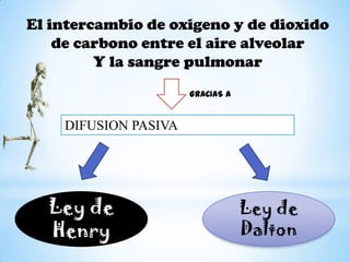 El intercambio de oxigeno y de dioxido
de carbono entre el aire alveolar
Y la sangre pulmonar
GRACIAS A

DIFUSION PASIVA

Ley de
Henry

Ley de
Dalton

 