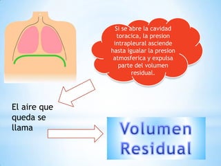 Si se abre la cavidad
toracica, la presion
intrapleural asciende
hasta igualar la presion
atmosferica y expulsa
parte del volumen
residual.

El aire que
queda se
llama

 