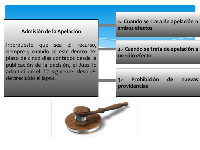 Recurso De Apelacion En Materia Mercantil Ejemplo es.slideshare.net