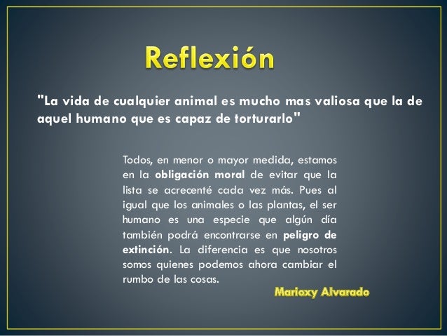 animales en peligro de extinción en el mundo
