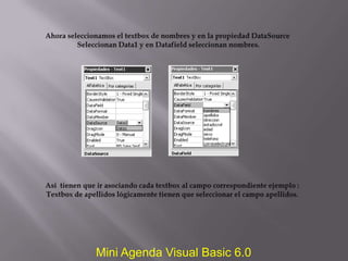Mini Agenda Visual Basic 6.0