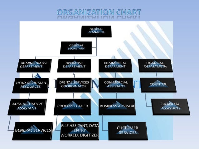 ORGANIZATION CHART