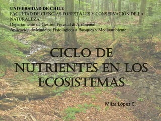 UNIVERSIDAD DE CHILE
FACULTAD DE CIENCIAS FORESTALES Y CONSERVACIÓN DE LA
NATURALEZA
Departamento de Gestión Forestal & Ambiental
Aplicación de Modelos Fisiológicos a Bosques y Medioambiente
CICLO DE
NUTRIENTES EN LOS
ECOSISTEMAS
Milza López C.
 
