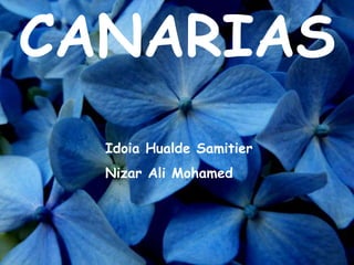 CANARIAS
Idoia Hualde Samitier
Nizar Ali Mohamed
 