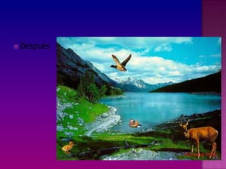  Después
 