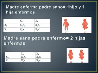 XE Xs
Xs XEXs XsXs
Y XEY XsY
Xs Xs
XE XEXs XEXs
Y XsY XsY
 